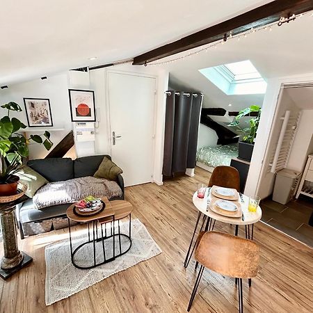 Loft Hortensia Climatise Hyper Centre Castres Castres (Tarn) Exterior foto