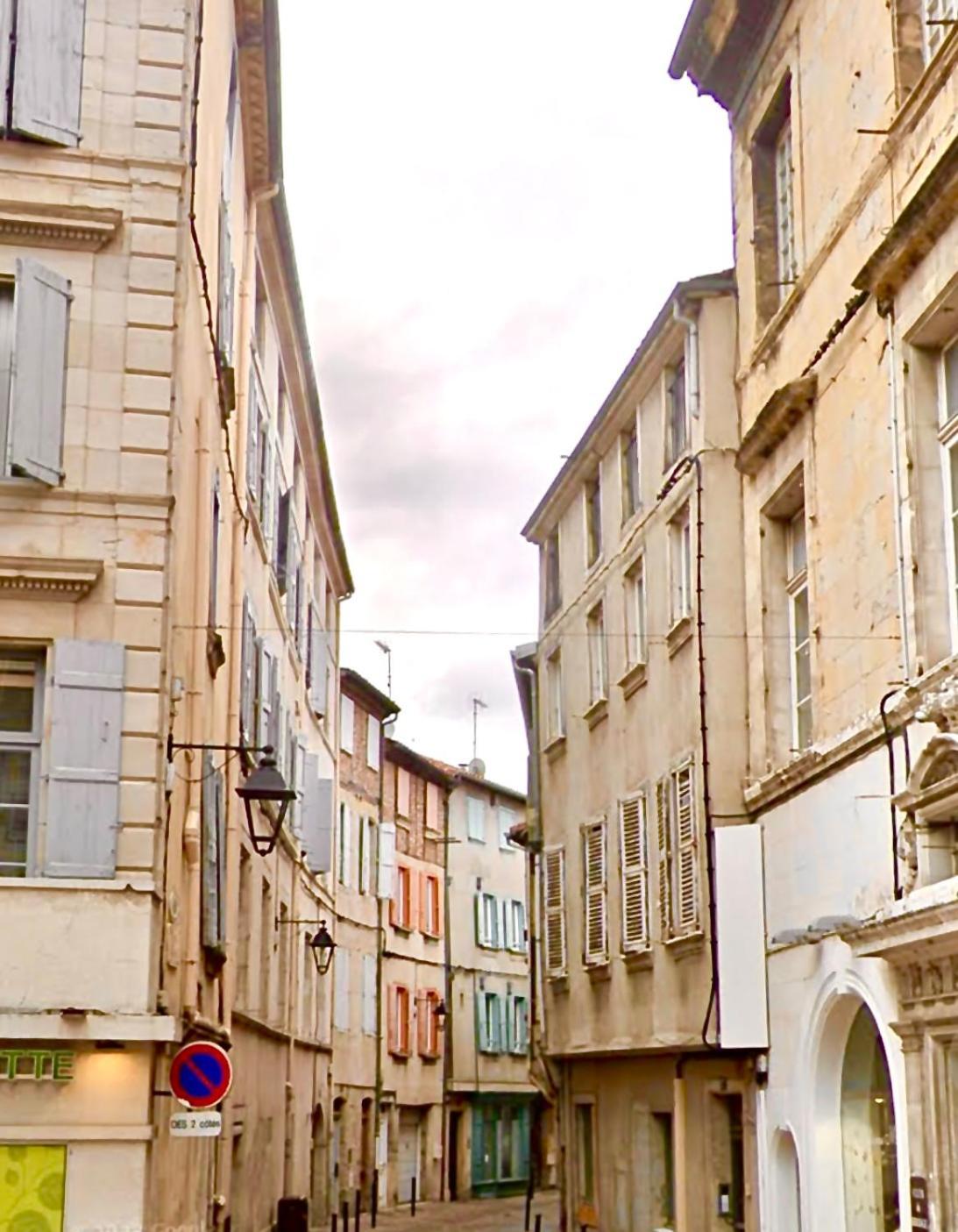 Loft Hortensia Hyper Centre Castres Castres  Exterior foto