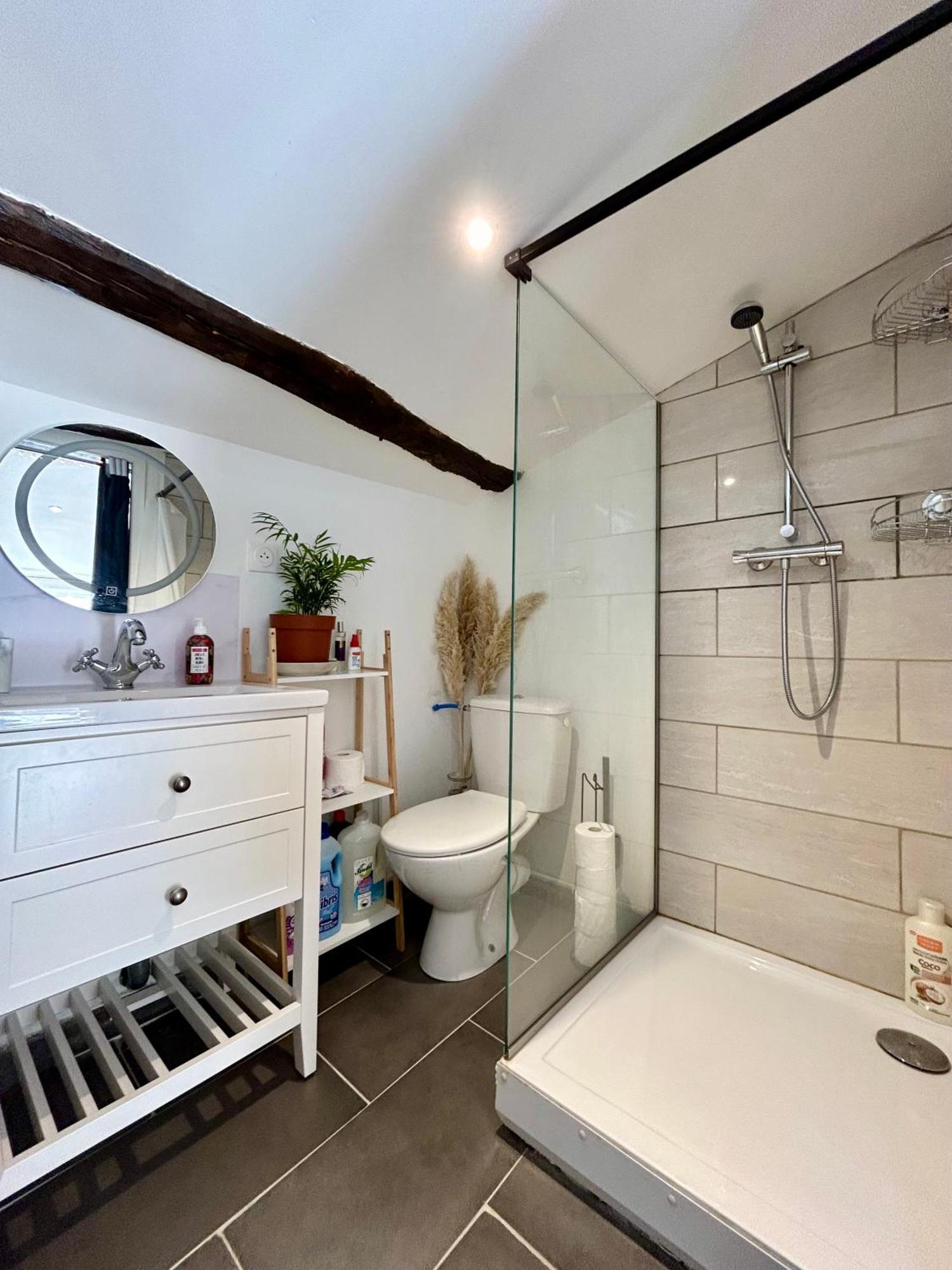 Loft Hortensia Climatise Hyper Centre Castres Exterior foto