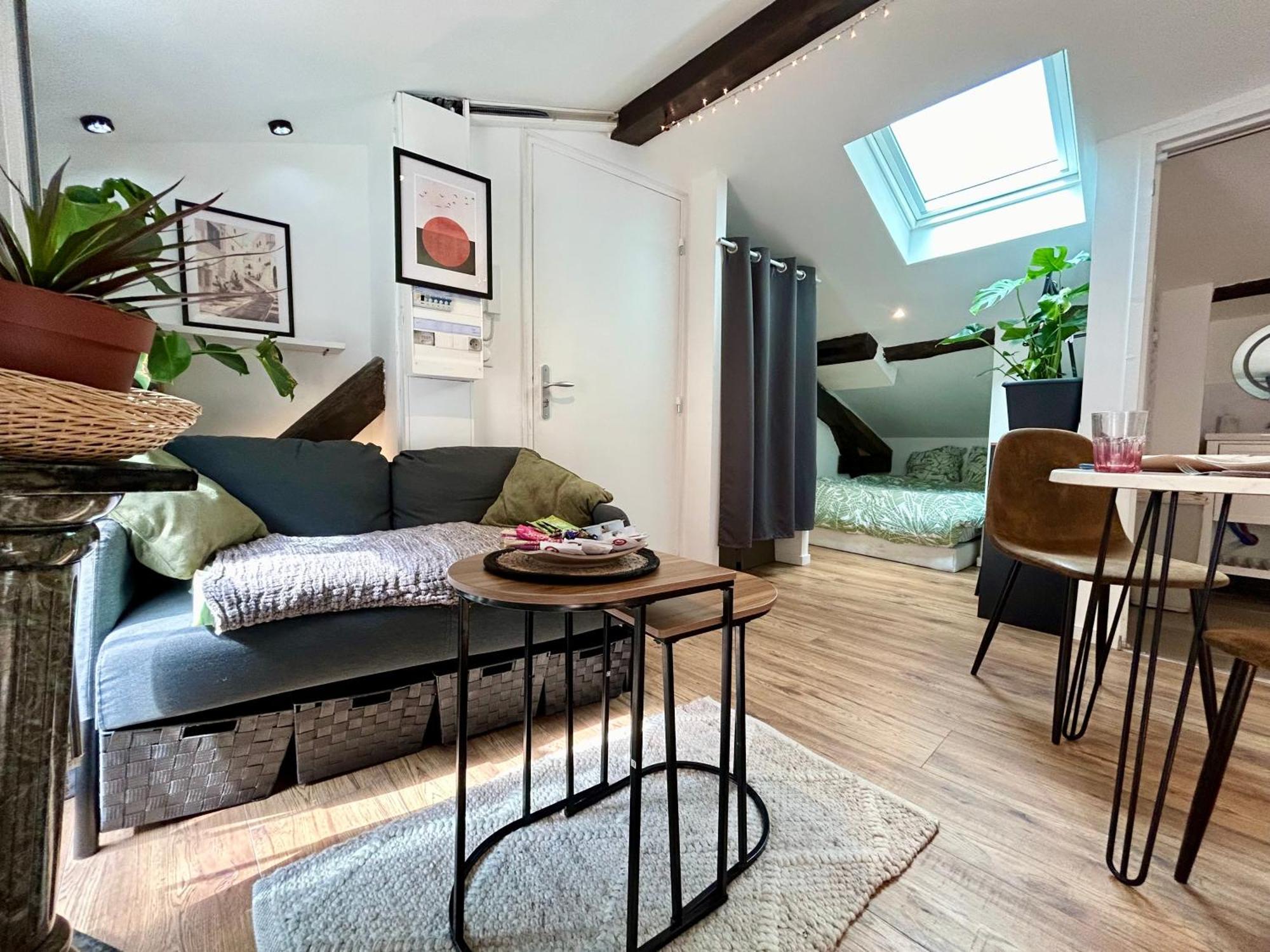 Loft Hortensia Climatise Hyper Centre Castres Castres (Tarn) Exterior foto
