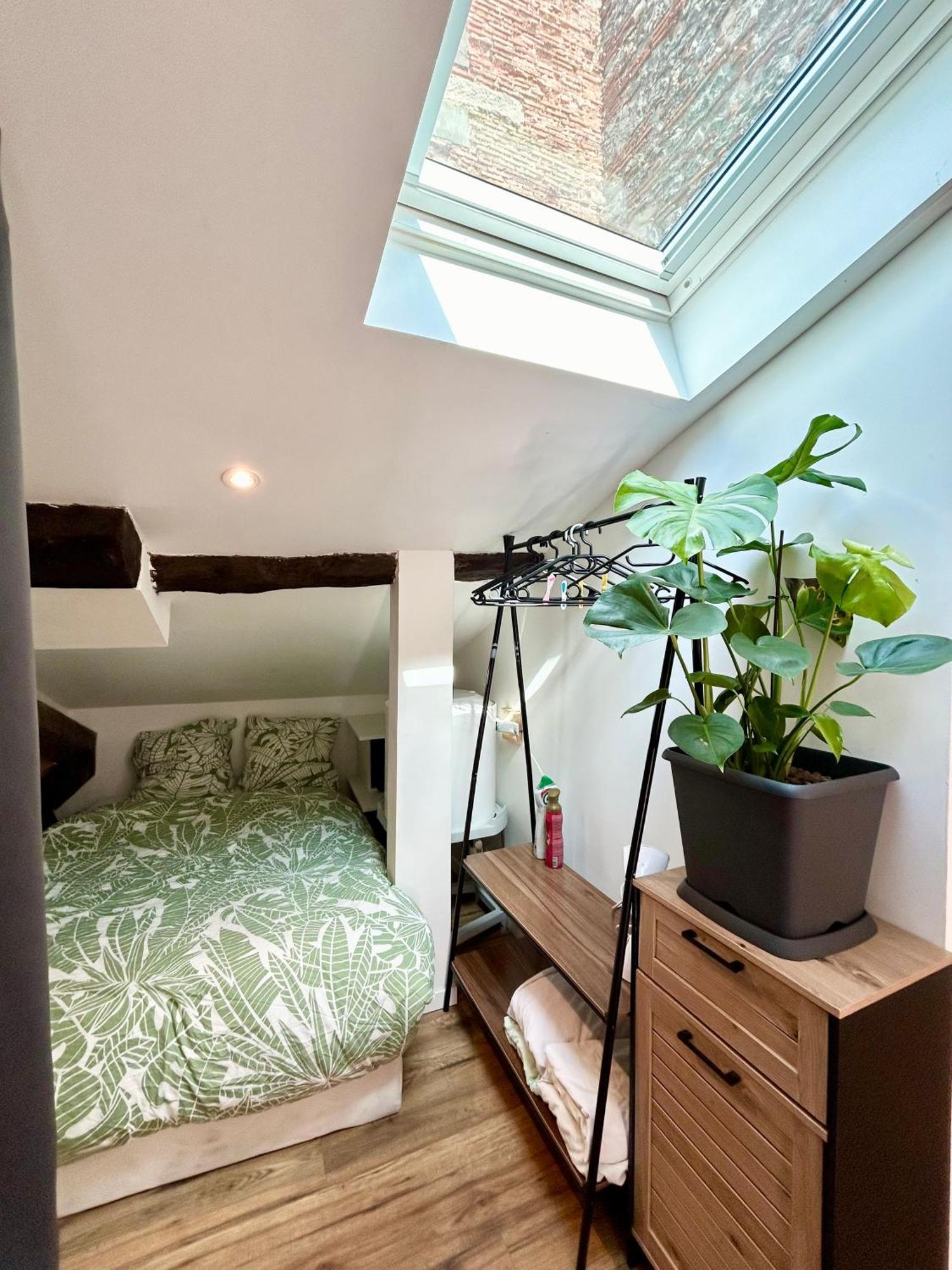 Loft Hortensia Hyper Centre Castres Castres  Exterior foto