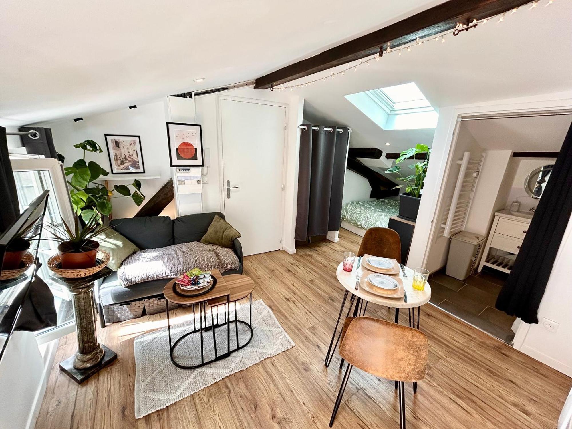 Loft Hortensia Climatise Hyper Centre Castres Castres (Tarn) Exterior foto